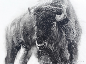 Are You Looking At Me