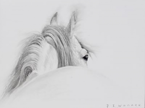 Here's Looking At You