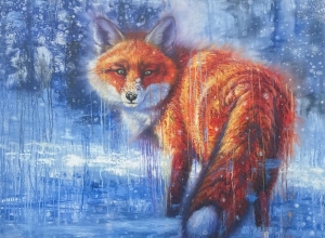 Red Fox