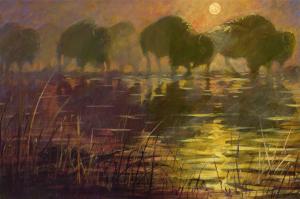 Buffalo Moon